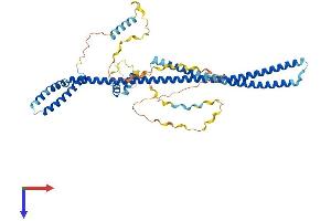 PDCD7 Protein (AA 1-485) (His tag)