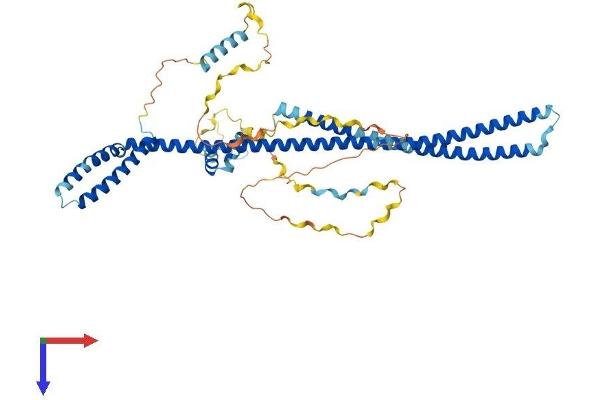PDCD7 Protein (AA 1-485) (His tag)