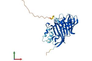 Protein Structure (PS) image for Acyl-CoA Thioesterase 8 (ACOT8) (AA 1-320) protein (His tag) (ABIN7556509)