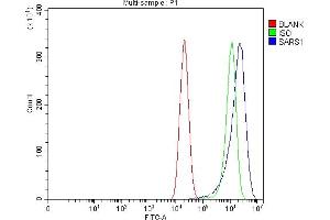 Flow Cytometry analysis of Caco-2 cells using anti-Seryl-TRNA Synthetase/SERS/SARS1 antibody (ABIN7602365).