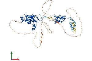 Protein Structure (PS) image for Early B-Cell Factor 3 (EBF3) (AA 1-596) protein (His tag) (ABIN7562206)