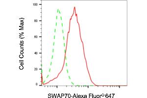 Flow cytometric analysis of SWAP70 expression in Raji cells using SWAP70 antibody (ABIN7800474), 1:2,000). (SWAP70 Antikörper)