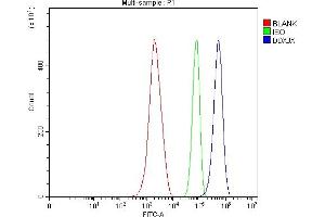 Flow Cytometry analysis of ANA-1 cells using anti-ADAR1/ADAR antibody (ABIN7603211). (DDX3X Antikörper  (N-Term))