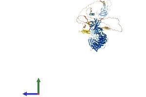 Protein Structure (PS) image for Fibronectin Type III Domain Containing 3A (FNDC3A) (AA 1-1198) protein (His tag) (ABIN7564454)