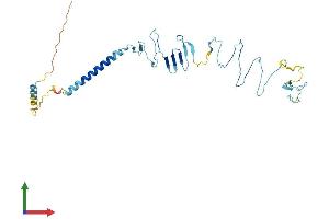 AlphaFold protein structure predicition of Human Recombinant SGCB Protein, UniprotID Q16585 (SGCB Protein (AA 1-318) (His tag))