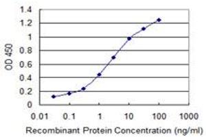 Detection limit for recombinant GST tagged CENPH is 0. (CENPH Antikörper  (AA 1-247))