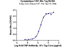 ELISA image for Fibroblast Activation Protein, alpha (FAP) (AA 26-760) protein (His tag) (ABIN7274581)