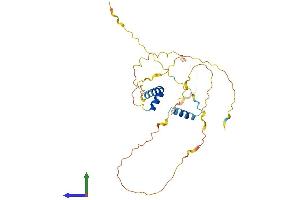 AlphaFold protein structure predicition of Human Recombinant FRAT1 Protein, UniprotID Q92837