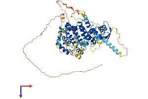 ARHGAP18 Protein (AA 1-663) (His tag)