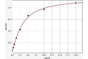 Typical standard curve (AP2B1 ELISA Kit)