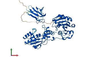Protein Structure (PS) image for Polynucleotide Kinase 3'-Phosphatase (PNKP) (AA 1-522) protein (His tag) (ABIN7561684)