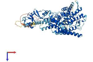CLCNKB Protein (AA 1-687) (His tag)