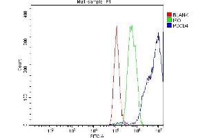 Flow Cytometry analysis of HepG2 cells using anti-PDCD4 antibody (ABIN5518943). (PDCD4 Antikörper  (AA 346-446))