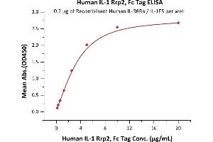 Immobilized Recombinant Human IL-36Ra / IL-1F5 at 2 μg/mL (100 μL/well) can bind Human IL-1 Rrp2, Fc Tag (ABIN6253209,ABIN6253539) with a linear range of 0. (IL1RL2 Protein (AA 20-335) (Fc Tag))