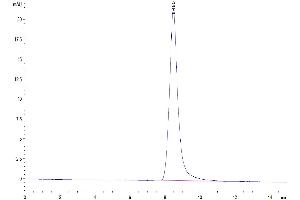 Size-exclusion chromatography-High Pressure Liquid Chromatography (SEC-HPLC) image for CD52 (CD52) (AA 24-47) protein (Fc Tag) (ABIN7274207)
