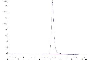 The purity of Mouse CD52 is greater than 95 % as determined by SEC-HPLC. (CD52 Protein (CD52) (AA 24-47) (Fc Tag))