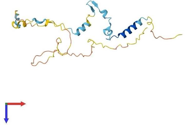 IFT43 Protein (AA 1-208) (His tag)