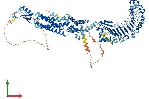 Protein Structure (PS) image for Leucine Rich Repeat Containing 8 Family, Member D (LRRC8D) (AA 1-859) protein (His tag) (ABIN7564342)
