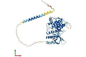 Protein Structure (PS) image for serine/threonine/tyrosine Kinase 1 (STYK1) (AA 1-422) protein (His tag) (ABIN7546456)