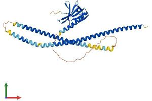 Protein Structure (PS) image for Homer Homolog 3 (Drosophila) (HOMER3) (AA 1-361) protein (His tag) (ABIN7548337)