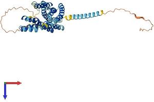 G Protein-Coupled Receptor 132 Protein (GPR132) (AA 1-380) (His tag)