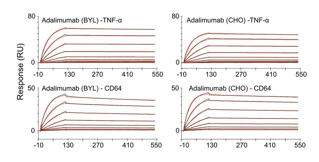 Fallstudie: Bewertung der Bindungsaffinität von Adalimumab-Biosimilars