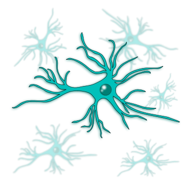 astrocyte image