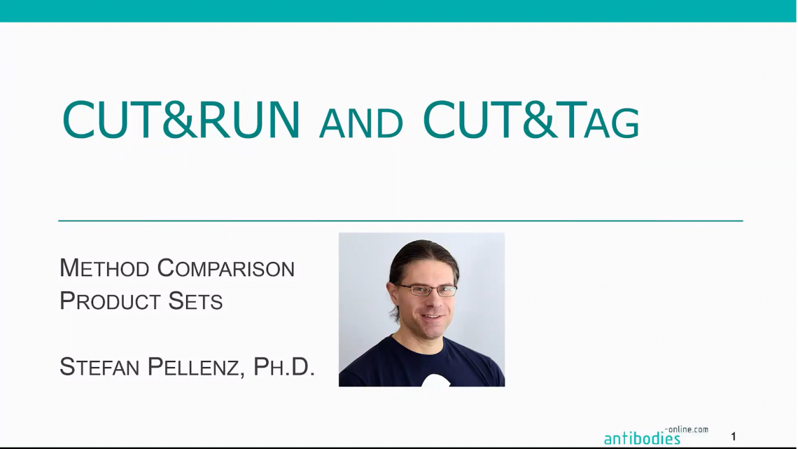 CUT&RUN Webinar antibodies-online